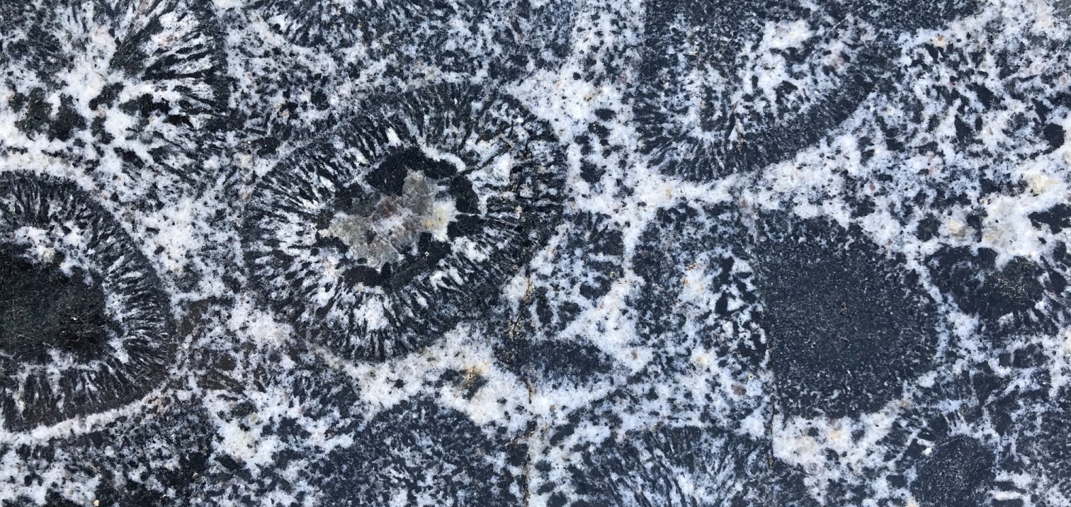 Orbicular granite