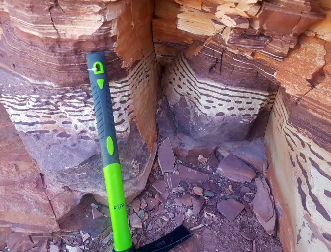 C:\Users\u34907\AppData\Local\Microsoft\Windows\INetCache\Content.Word\GGC site zebra closeup.jpg