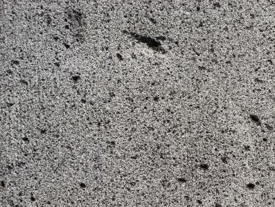 A picture containing ground, outdoor, nature, dirt Description automatically generated